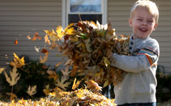 boy carrying fall leaves