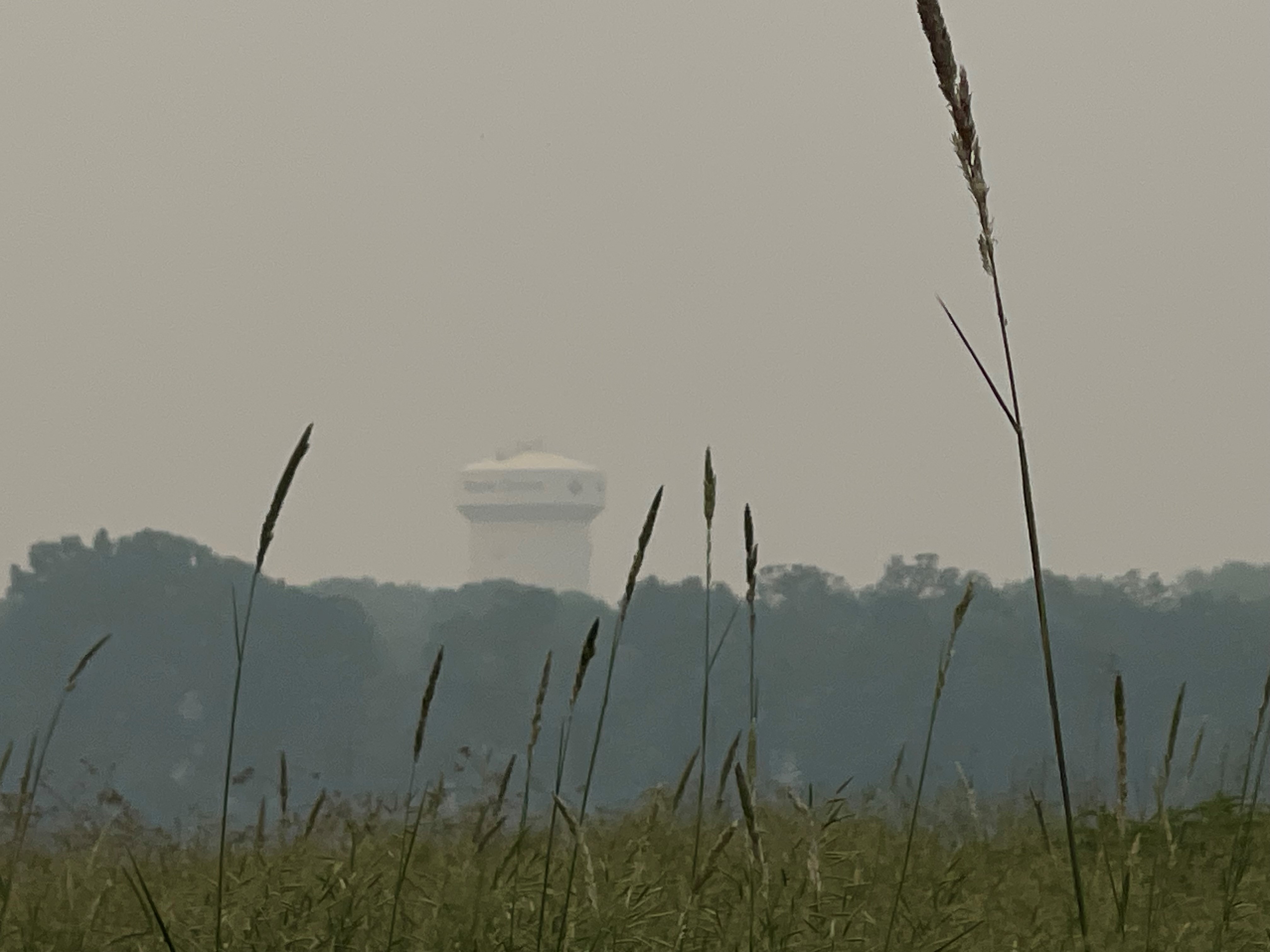 Hazy photo over field looking at the Maple Grove water tower on June 14, 2023 due to poor air quality.