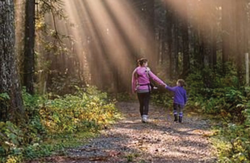 Person and child walking on a hiking trail, sunlight stream