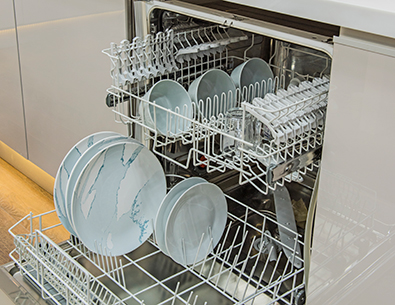 Open dishwasher containing plates