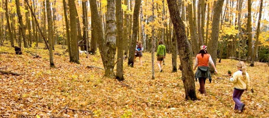 People walking in a forest in autumn