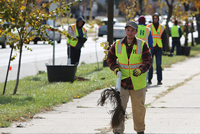 County employee wearing safety vest carrying a tree down sidewalk with group planting trees in background
