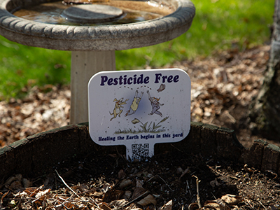 Close up of sign in garden bed that says pesticide free